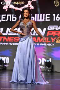 Grand Prix Dudushkin Fitness Family - 2026