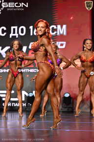 Grand Prix Dudushkin Fitness Family - 2026