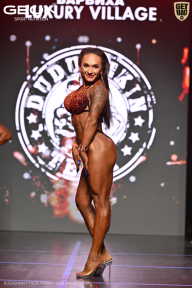 Grand Prix Dudushkin Fitness Family - 2026