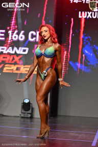 Grand Prix Dudushkin Fitness Family - 2026