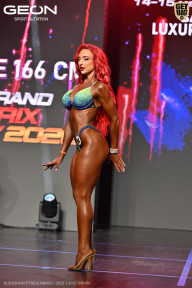 Grand Prix Dudushkin Fitness Family - 2026