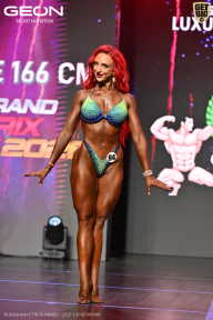 Grand Prix Dudushkin Fitness Family - 2026