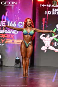 Grand Prix Dudushkin Fitness Family - 2026