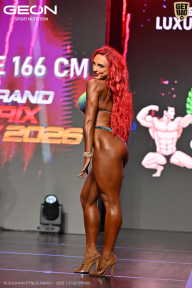 Grand Prix Dudushkin Fitness Family - 2026