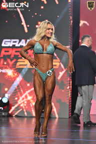 Grand Prix Dudushkin Fitness Family - 2026