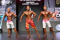 Grand Prix Dudushkin Fitness Family - 2026