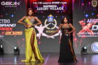 Grand Prix Dudushkin Fitness Family - 2026