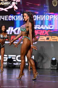 Grand Prix Dudushkin Fitness Family - 2026