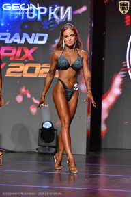 Grand Prix Dudushkin Fitness Family - 2026