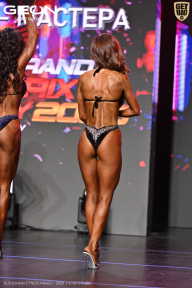 Grand Prix Dudushkin Fitness Family - 2026