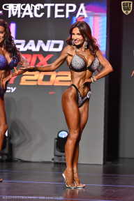 Grand Prix Dudushkin Fitness Family - 2026