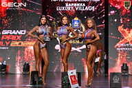 Grand Prix Dudushkin Fitness Family - 2026