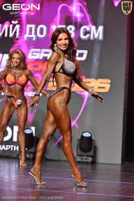 Grand Prix Dudushkin Fitness Family - 2026