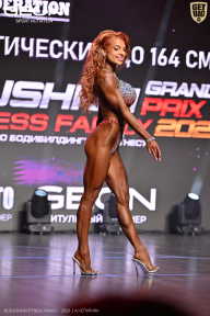 Grand Prix Dudushkin Fitness Family - 2026