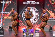 Grand Prix Dudushkin Fitness Family - 2026