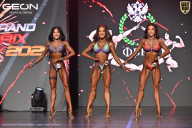 Grand Prix Dudushkin Fitness Family - 2026