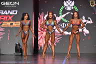 Grand Prix Dudushkin Fitness Family - 2026