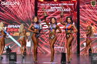 Grand Prix Dudushkin Fitness Family - 2026