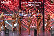 Grand Prix Dudushkin Fitness Family - 2026