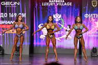 Grand Prix Dudushkin Fitness Family - 2026