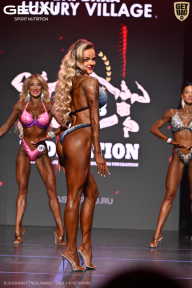 Grand Prix Dudushkin Fitness Family - 2026