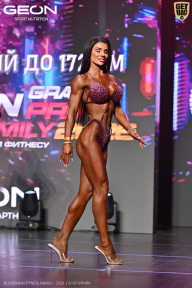 Grand Prix Dudushkin Fitness Family - 2026