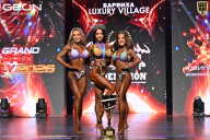 Grand Prix Dudushkin Fitness Family - 2026