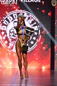 Grand Prix Dudushkin Fitness Family - 2026