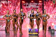 Grand Prix Dudushkin Fitness Family - 2026