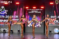 Grand Prix Dudushkin Fitness Family - 2026