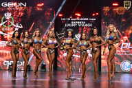 Grand Prix Dudushkin Fitness Family - 2026