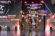 Grand Prix Dudushkin Fitness Family - 2026