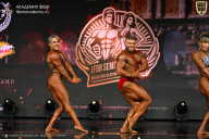 IFBB SEMIPRO RUSSIAN CUP - 2026