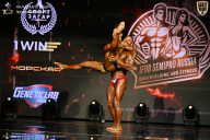 IFBB SEMIPRO RUSSIAN CUP - 2026