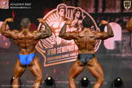 IFBB SEMIPRO RUSSIAN CUP - 2026