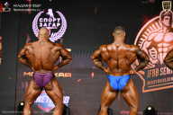 IFBB SEMIPRO RUSSIAN CUP - 2026