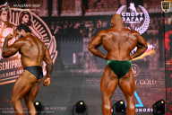 IFBB SEMIPRO RUSSIAN CUP - 2026