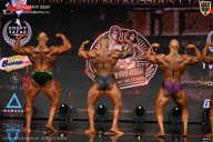 IFBB SEMIPRO RUSSIAN CUP - 2026