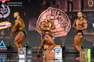 IFBB SEMIPRO RUSSIAN CUP - 2026