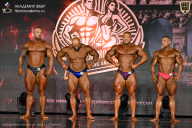 IFBB SEMIPRO RUSSIAN CUP - 2026