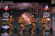 IFBB SEMIPRO RUSSIAN CUP - 2026