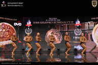 IFBB SEMIPRO RUSSIAN CUP - 2026