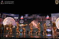 IFBB SEMIPRO RUSSIAN CUP - 2026