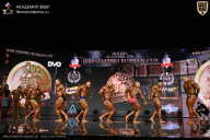 IFBB SEMIPRO RUSSIAN CUP - 2026