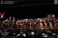 IFBB SEMIPRO RUSSIAN CUP - 2026