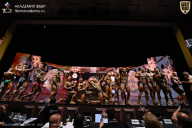 IFBB SEMIPRO RUSSIAN CUP - 2026