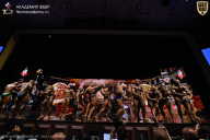 IFBB SEMIPRO RUSSIAN CUP - 2026
