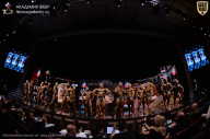 IFBB SEMIPRO RUSSIAN CUP - 2026