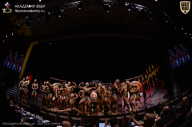 IFBB SEMIPRO RUSSIAN CUP - 2026
