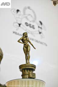 Кубок Ивановской области по бодибилдингу - 2026